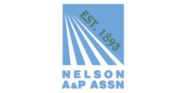 NelsonAPlogo